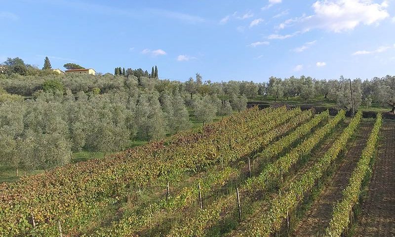 Chianti Montalbano DOCG Lamporecchio